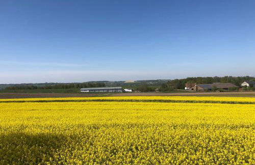 Ferne und Weite im Sauerland Blick über das Ruhrtal - Foto 19