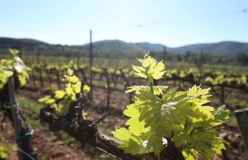 Agriturismo Ristorante Monte Argentario - Foto 102