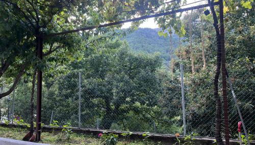 La cerra -Tiny-house - Foto 3