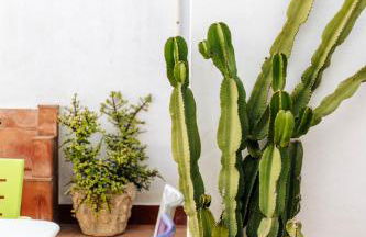 Casa Tunante Zahara - Foto 11