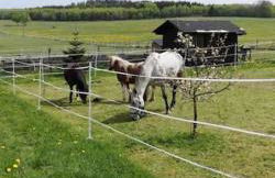 FeWoMonCIAO2019-Panorama 2Pers bis max4Pers - Foto 27