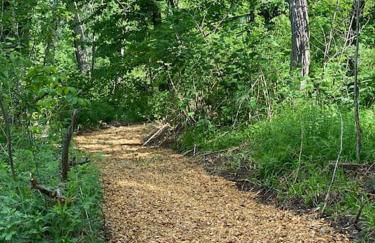 Murphys Law Inn 7 - Foto 24