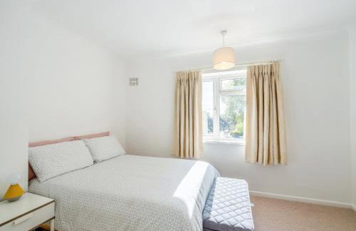 Shackleton - Foto 12