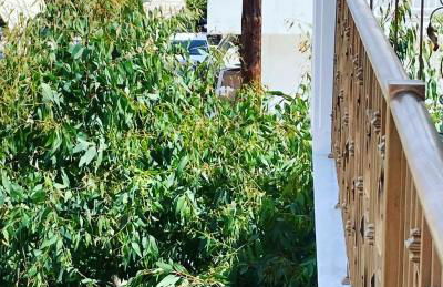 Villa Ulyana Sarti - Ancient Greece in Center - Foto 16