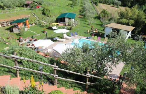 Appartamenti l'Olivo - Foto 32