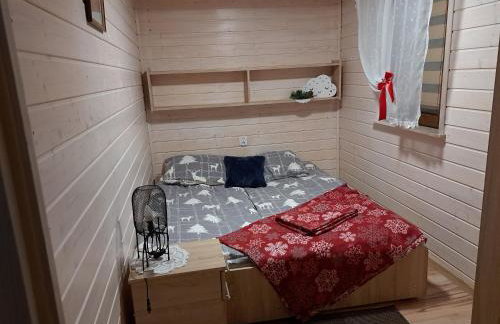 Domki Borowiackie nad brzegiem jeziora - Foto 11