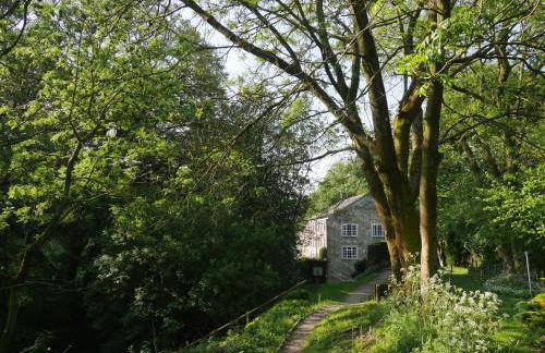 Airton Mill - Foto 18