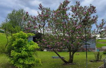 Residenza Letizia - Foto 51