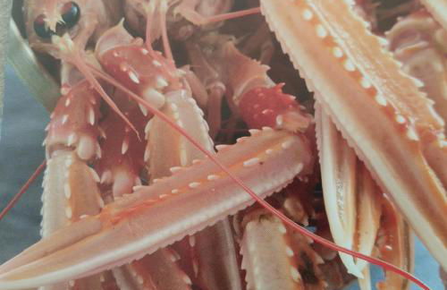 LE 21 Vue sur Mer - Photo 37