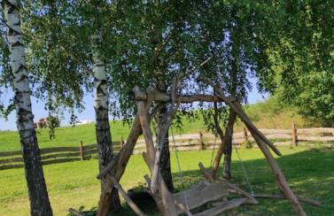 Brzozowa Polana - Foto 44