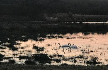 The Piggery, a perfect country hideaway - Photo 28