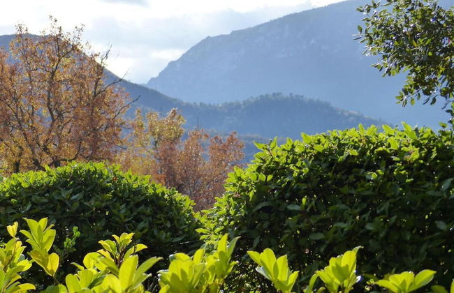 Pet-friendly Home w/ Garden - Foto 24