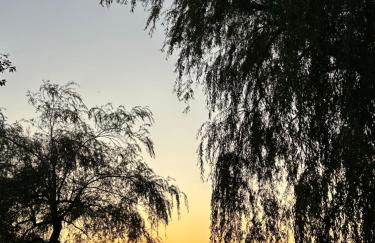 Mein Haus am See - Foto 15