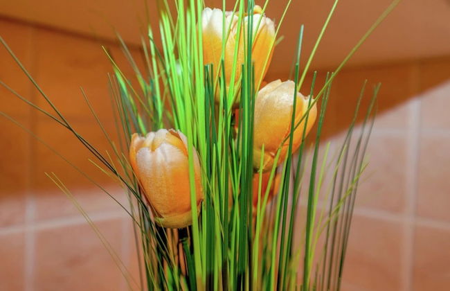 Cottage in Croatia Near Beach & Town Centre - Foto 23