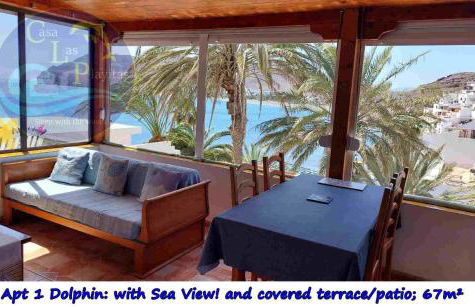 CASA LAS PLAYITAS -CLP- BEST SEA VIEW - In 1 Minute Ocean - Photo 25
