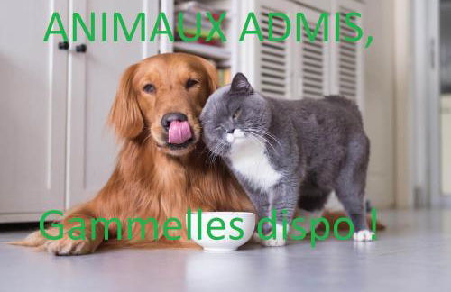 Au Canal du Midi - Appartements au cœur de la ville - Foto 15