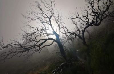 A charming spot - Foto 20