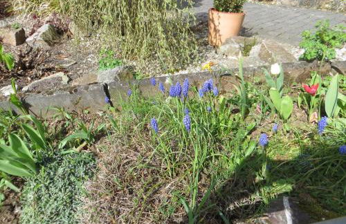 Ferienwohnung Wagner 4 Sterne - Photo 26