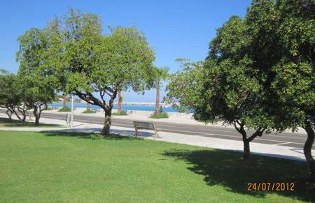 Ambra di mare - Foto 20