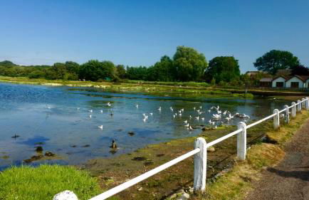 BAYVIEW self-catering coastal bungalow in rural West Wight - Photo 21