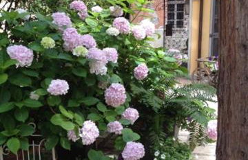 Albergo Residence Perosi - Foto 21