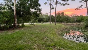 The Deer Retreat at Venus - Foto 2