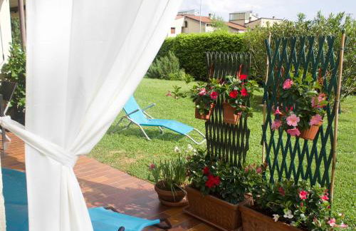 Prato Verde - Girasole - Foto 30