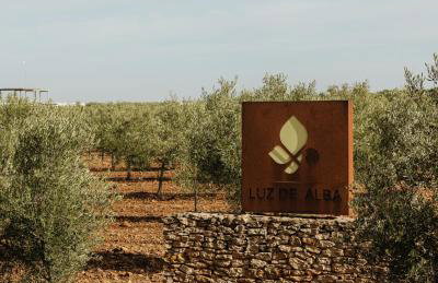 Finca Luz de Alba - Foto 21