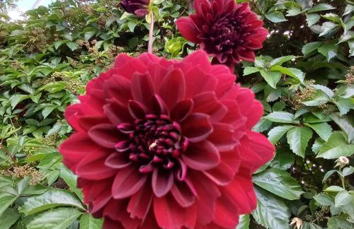 Kuća za odmor Silvano - Foto 8