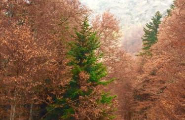 Dulce y luminoso ap en Gessa - Foto 27