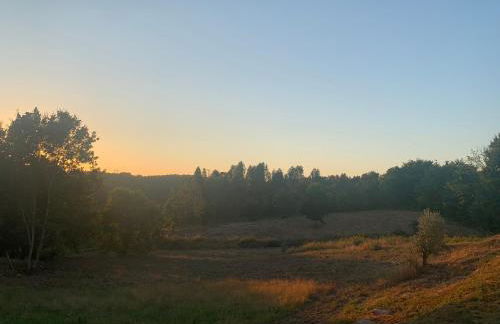 A Casa Amarela - Foto 21