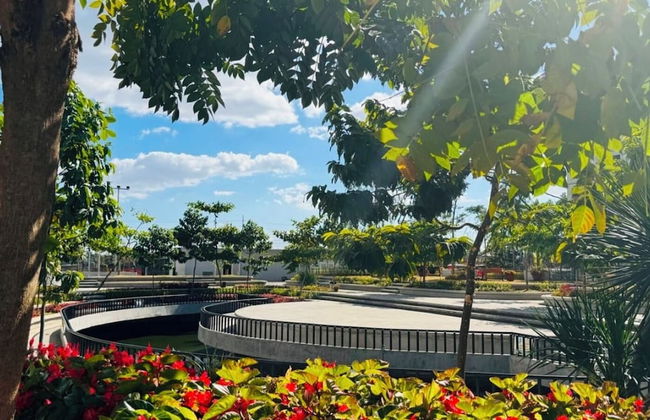 Pandora's Nest - Foto 57