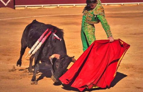 La casa Latina - Foto 61