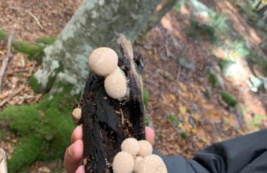 Maison les pieds dans l'eau - Foto 45