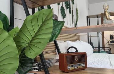 Φρίντα στο κέντρο της Ορεστιάδας - Foto 16