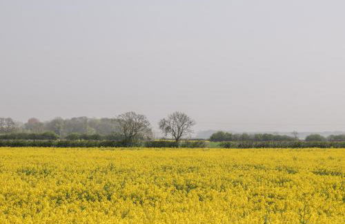 Southview Bungalow - Foto 35