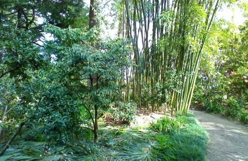 La Camelia d'Oro - Foto 37