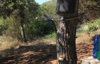 Secluded fisherman's cottage Cove Ripisce, Dugi otok - 394 - Foto 8