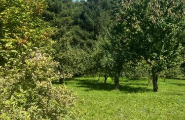 UKRYTY SKARB - Foto 11