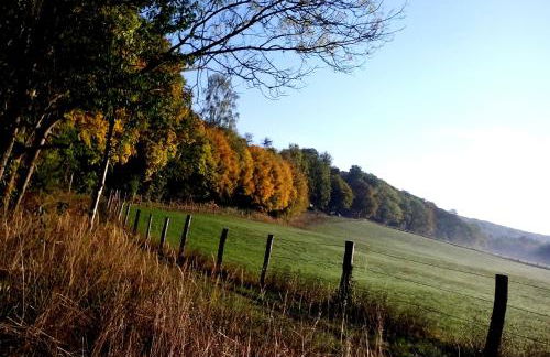 Ferienwohnung Das Fuchsrevier - Foto 18