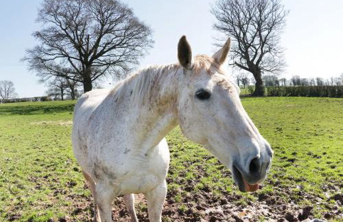 The Cider House - Photo 28