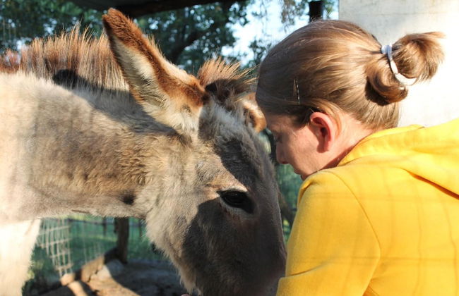 Il Rifugio del Contadino Country House - Photo 9