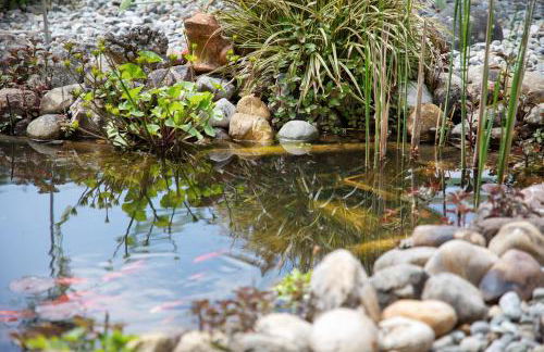 Fewo Kammeltal - Foto 32