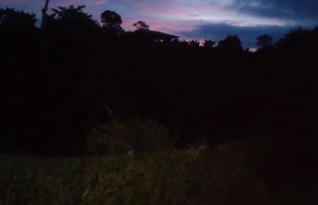 Entre Guaduas - Photo 44