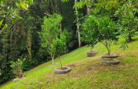 Casa Dona Zezé - Photo 39