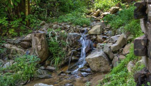 Bearly Hidden: Peaceful Creekside Escape with Hot Tub - Foto 4