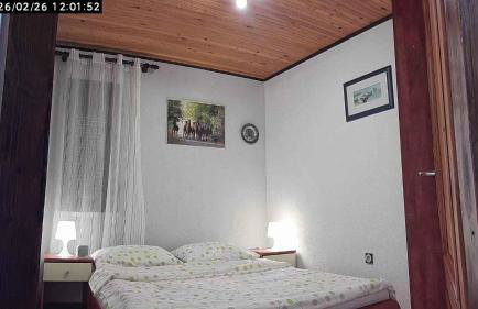 Holiday home in Delnice - Gorski Kotar 43959 - Foto 18