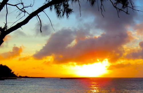 Stunning Golf Course front near the beach - Photo 60