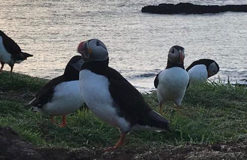 The Old School - Foto 14