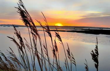 Sea Walk Cottage, Milford On Sea - Photo 41